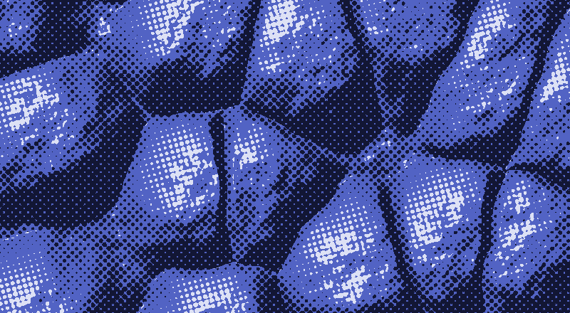 Clustered leaf-like forms, printed as an indigo halftone